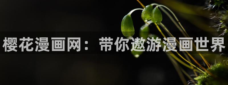 白雪王子贝勒漫画：樱花漫画网：带你遨游漫画世界