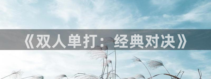 boylove贝勒漫画：《双人单打：经典对决》