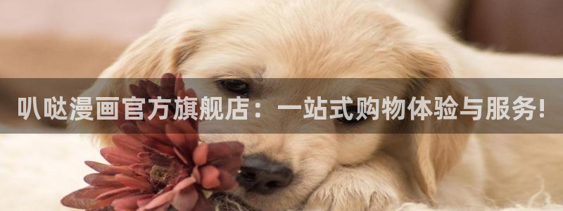 贝勒漫画官网入口在线阅读免费：叭哒漫画官方旗舰店：一站式购物体验与服务!